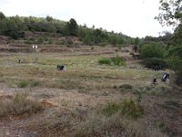 2014-05-25 11.32.03  ø;    K       	  È  ð    4xV4xV4xV4       ` RD è      ÿÿø|	                              ýý                                                                                                                                                                                                                  C A L ZKFI07    Cur.ZKFJ03CML 018001001509FD120109010B010D010D01240967ï )Yë&#38;      T U N A   Ð	 b b    À¥ m ðUÿÿ£  ÓÿÿK Káÿÿ   ®Rÿÿ:    FLFL SVN# g	                                                                                                                   ®    Ð	 ^ bb^ 	 7	Z	L   %                      ÿ         b                                          þ             	     8                                                                                                                                                                                                                                                               JKJK\    ?t    Â    B
     	     b         ¨    Ã£     À¥ m ðUÿÿ£  ÓÿÿK Káÿÿ   ®Rÿÿ:  JKJK  	 	 	 	 	 	 	 	 	 	 	 	 	    	  A&#34;   &#34; &#34; &#34; &#34; 	 	 	 	 	 &#34; &#34;     1&#34; A&#34; A&#34; A&#34; 1&#34; 1&#34;  0 Q3 	 	 	 &#34; 	           A&#34;   1&#34; 1&#34; A&#34;  	 	   	  `    Q3 A&#34; Q3 `   `   1&#34;  1&#34; 1&#34; 1&#34; 1&#34;   1&#34; p   `   `   `   `   `   `   `   P3 P3 Q3 `   1&#34; 2w 1&#34; 2w `   Q3 Q3 P3 `   `   P3 Q3 Q3 Q3 Q3 `     2w 2w Q3 Q3 Q3 Q3 Bw A&#34; Bw Bw Q3 Bw 2w `   P3 	   Q3 Q3 P3 P3 Q3 P3 R   Q3 Q3 Q3 Q3 Q3 Q3 A&#34; @&#34; Q3 `   Q3 Q3 P3 P3 Q3 Q3 P3 Q3 P3 `   P3 P3 P3 `    `   `   `   `   `   `   `   P3 `   `   P3 Q3 Q3 A&#34; P3 P3 `   `   `   `   `   `   `   `   `   `   `   P3 Q3 P3 P3 `   `   `   `   `   `   `   `   `   `   Q3 R   Bw Q3 `   `    p   p   p   p   `   `   `   `   P3 Q3 Q3 Q3 Q3 `   p    p   p   p   p   `   `   `   `   `   `   `   Q3 `   `   `   p   p   p   p   p   `   `   `   `   `   `   `   `   `   `   `    JKJK¿  þÿ  b ×6 þÿ  Üs ;é úÿ  ç                                     é   :« iñ   e                          àÿ  v£ f àÿ  £ f àÿ  £ f àÿ  £             úV                                                                                                                                                                                                                                                                          ýAFAFÁ H;Á  Qí© ]?©  B ££ }}v )v ®û[ ¥[ y    y     I¸ ·¯ ûù¯ &#39;&#39;Ç ÚÇ ºlÄ    Ä    ½ ½ 8Z¶ IÝ¶ D:¯ ¯ vH¨ õ}¨ t}³  ³ «M®    ®    §    §    ²    ²    ²    ²    ²    ²          AFAF ­ZK ³  AFAFä                                                                                                                                                                                                                                                                                                                                       Þ°ô                X  ¤x R¼ )Þ )Þ s s \&#38;ºÆ³  6n
   
                                                                                                                                                                                                                                                                                                                                                                                                                                                                                                                                                                                                                                                                                                                                                                                                                       ÎFßWðÞ¼¶î5 4 KS  @×ì;ñ